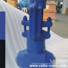 API 602 Forged Steel High Pressure Globe Valve (J61)